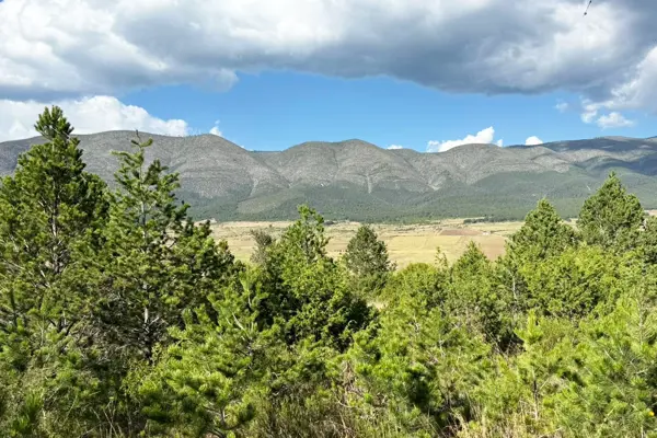 Terreno en venta en La Nueva Esmeralda (Nuevo Poblado de la Esmeralda), Galeana — foto 2 de 6