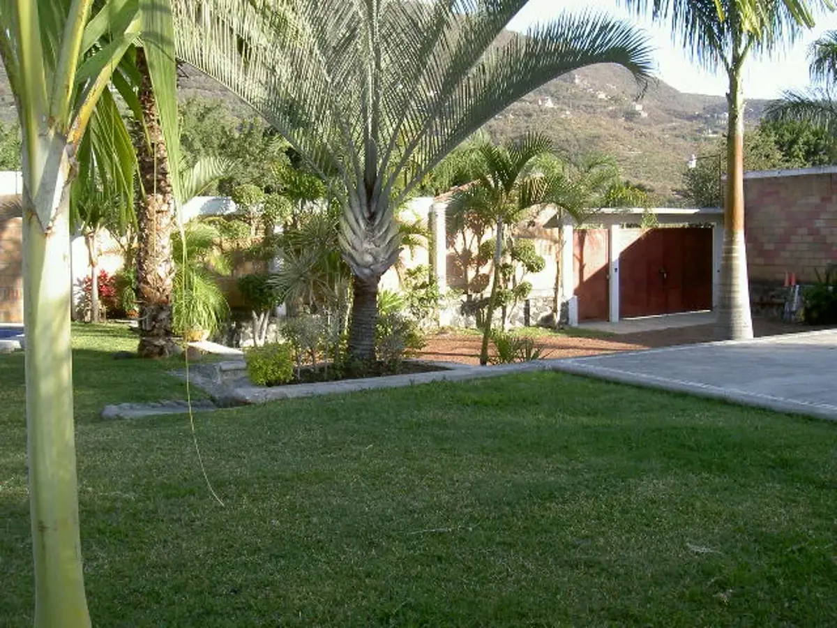 Terreno en renta en Cliserio Alanís (San Gaspar), Jiutepec — foto 1 de 13