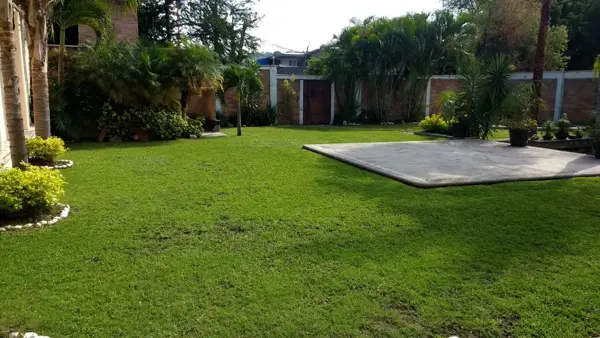 Terreno en renta en Cliserio Alanís (San Gaspar), Jiutepec — foto 3 de 13
