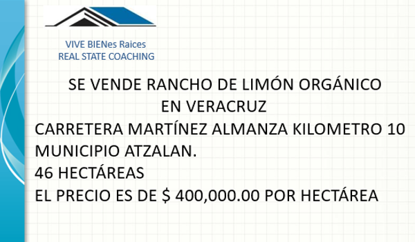SE VENDE RANCHO DE LIMÓN ORGÁNICO