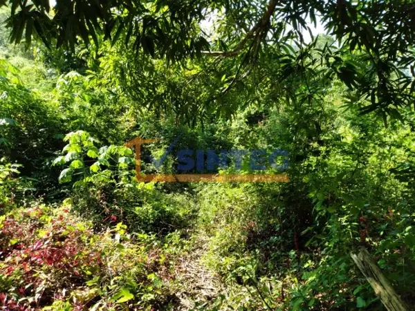 Terreno en venta en Yanga, Poza Rica de Hidalgo — foto 2 de 10