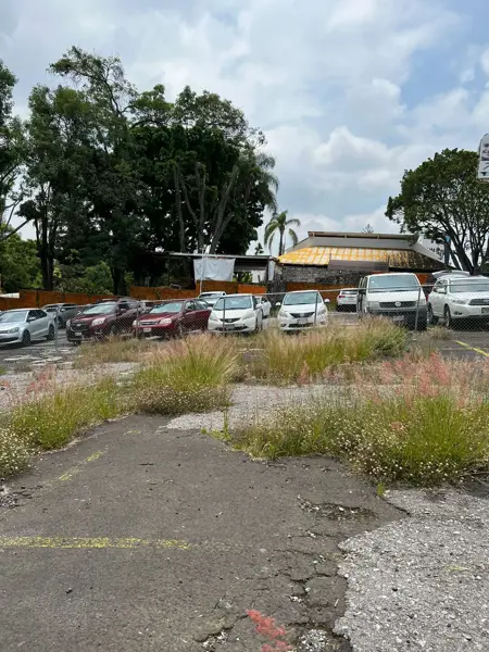 Terreno en venta en Bellavista, Cuernavaca — foto 3 de 3