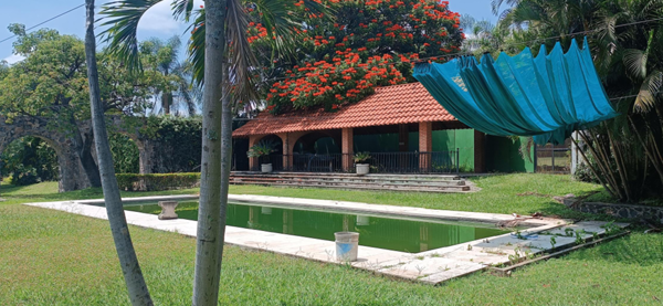 Terreno en venta en Centro Jiutepec, Jiutepec — foto 3 de 18