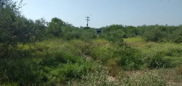 Terreno en Venta en Tamaulipas ¡Oportunidad Única!