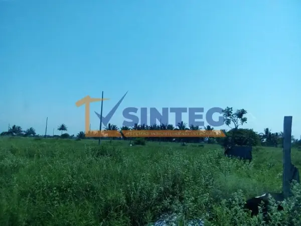 Terreno en venta en La Guadalupe, Tecolutla — foto 2 de 9