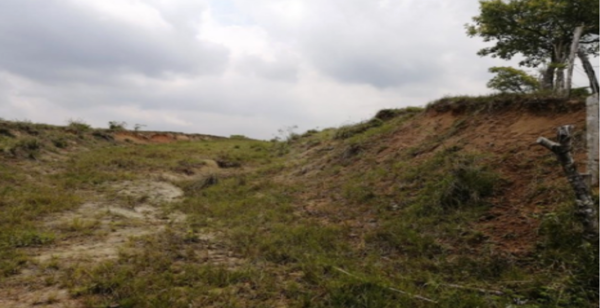 Terreno en venta en Gavilán Norte (Santa Rosa), Coatzacoalcos — foto 3 de 5