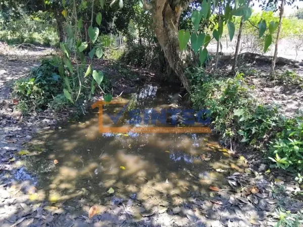 Terreno en venta en Unión y Progreso, Papantla — foto 2 de 41