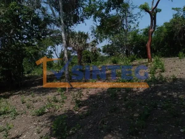Terreno en venta en Guadalupe Victoria, Poza Rica de Hidalgo — foto 3 de 8