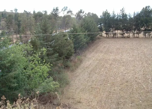Terreno en venta en Nueva Puerta de Cadena, Pátzcuaro — foto 2 de 5