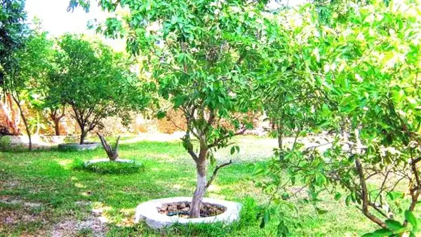 Casa en venta en Cholul, Mérida — foto 3 de 20