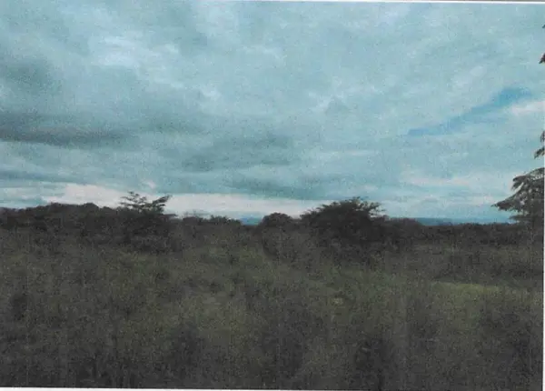 Terreno en venta en Chiapa de Corzo (Ángel Albino Corzo), Chiapa de Corzo — foto 3 de 9