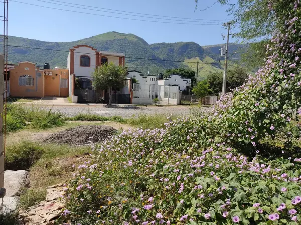 Terreno en venta en Villa de San Javier, Autlán de Navarro — foto 3 de 3