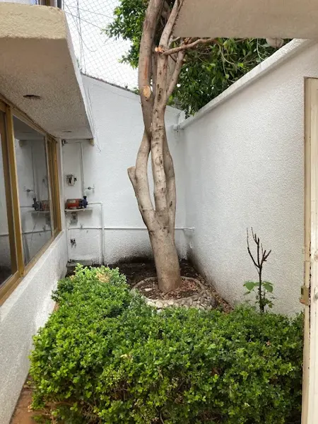 Casa en renta en Céspedes Reforma, Pachuca de Soto — foto 2 de 37
