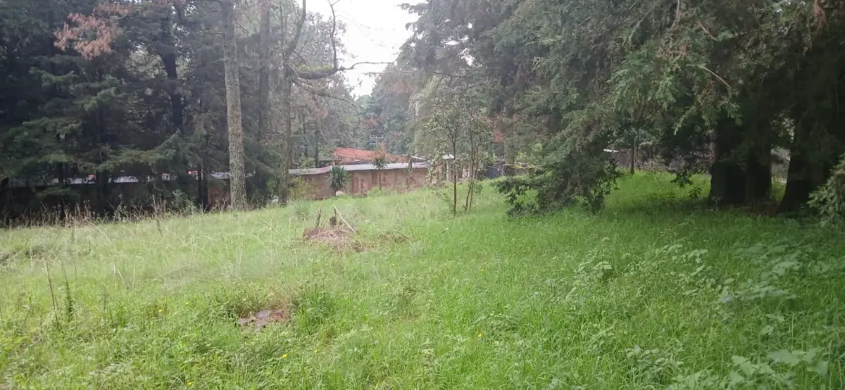 Terreno en venta en María Candelaria, Huitzilac — foto 1 de 4