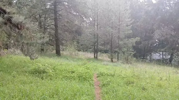 Terreno en venta en María Candelaria, Huitzilac — foto 2 de 4