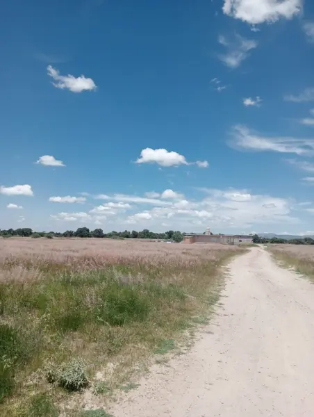Hay 5 lotes de 6,552.66 m2 en venta