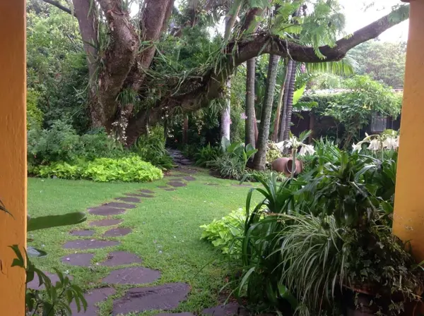 Casa en venta en Tepoztlan Centro, Tepoztlán — foto 3 de 29