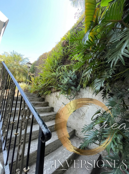 Casa en venta en Lomas de Atzingo, Cuernavaca — foto 3 de 16