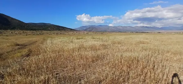 Terreno en venta en Los Llanos, Arteaga — foto 3 de 10