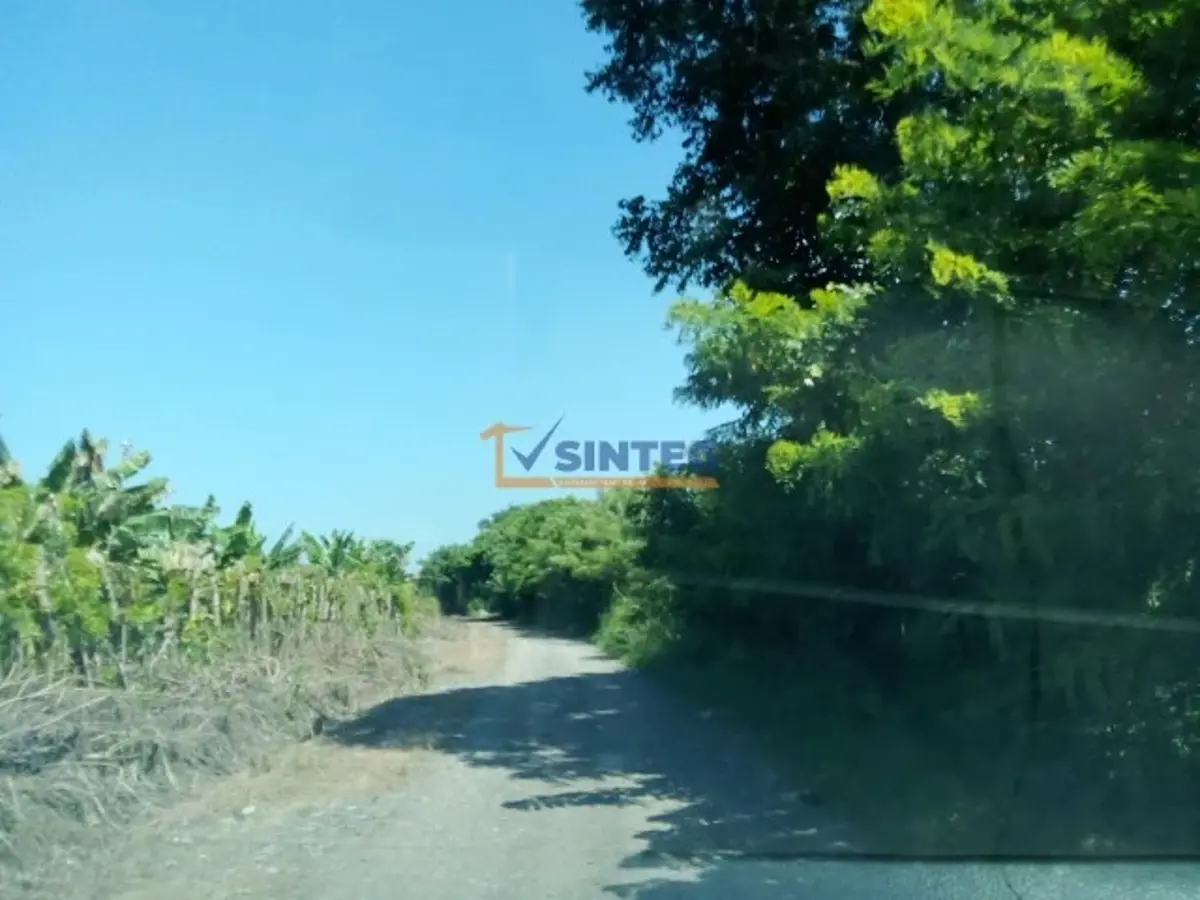 Terreno en venta en La Concepción, Tihuatlán — foto 1 de 8