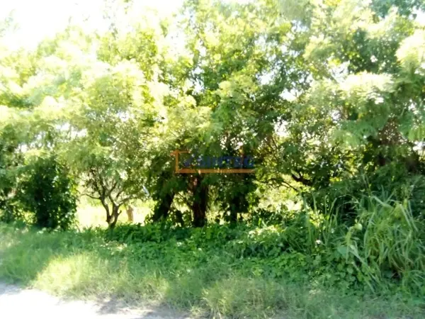 Terreno en venta en La Concepción, Tihuatlán — foto 2 de 8