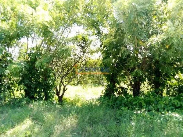 Terreno en venta en La Concepción, Tihuatlán — foto 3 de 8