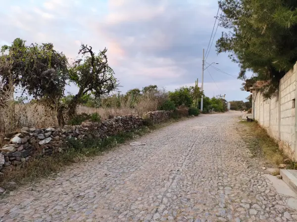 Terreno en venta en Palmillas, San Juan del Río — foto 2 de 17