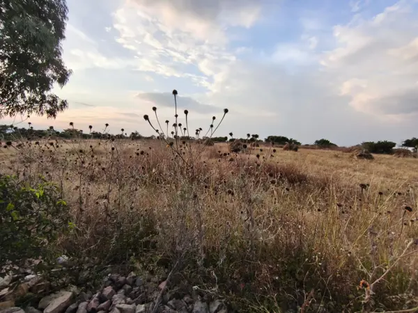 Terreno en venta en Palmillas, San Juan del Río — foto 3 de 17