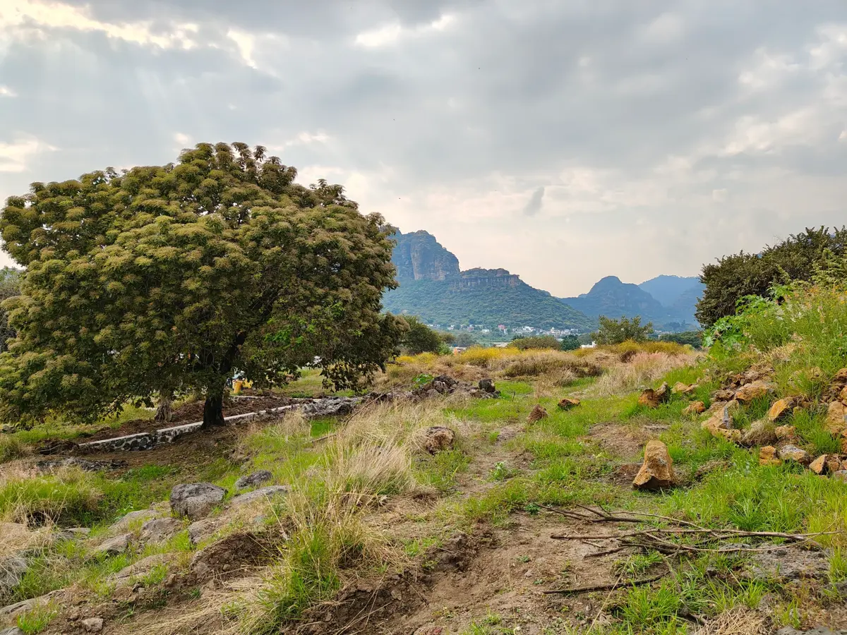Terreno en venta en Tlayacapan Centro, Tlayacapan — foto 1 de 4