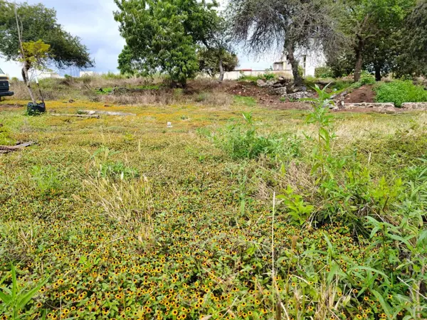 Terreno en venta en Tlayacapan Centro, Tlayacapan — foto 3 de 4