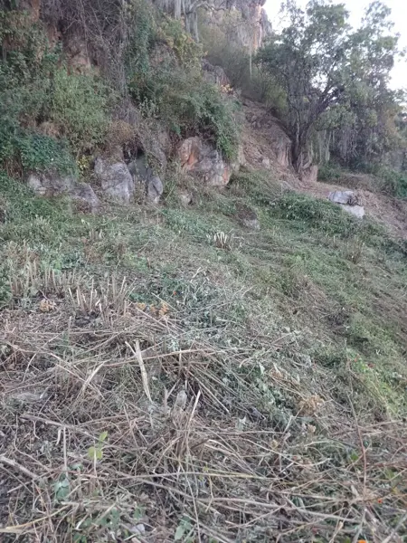 Terreno en venta en La Peña, Valle de Bravo — foto 3 de 8