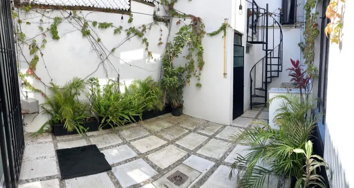 Casa en renta en Condesa, Cuauhtémoc — foto 1 de 30