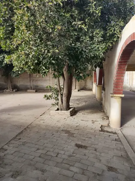 Quinta en venta en El Chalet, Matamoros — foto 3 de 19