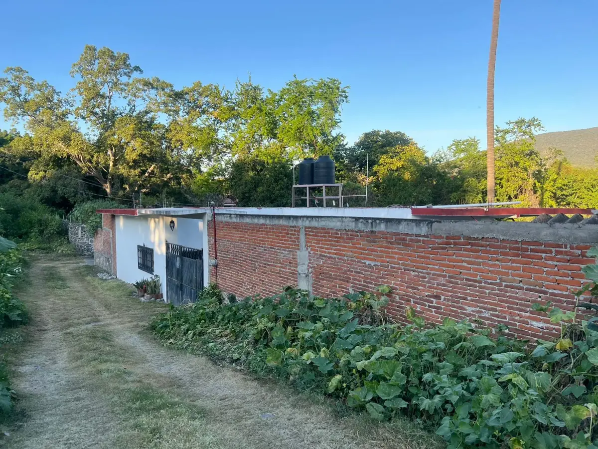 Finca-Rancho en venta en Carlos Pacheco, Tlaltizapán de Zapata — foto 1 de 18