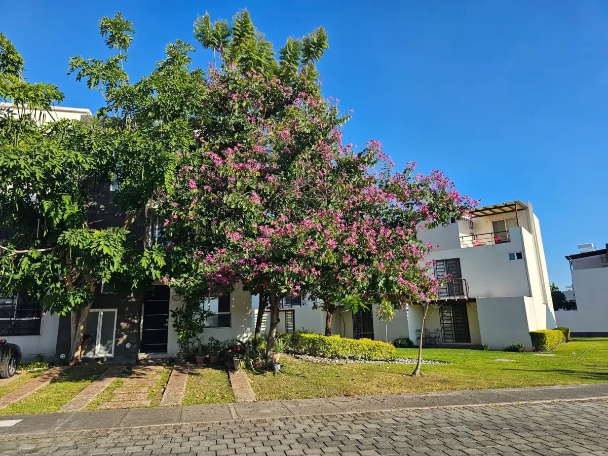 Casa en venta en Real Santa Fe, Xochitepec — foto 1 de 23
