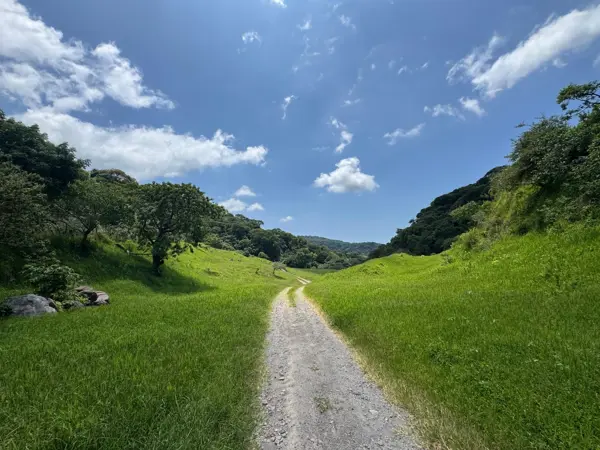 Terreno en venta en Comala, Comala — foto 2 de 11