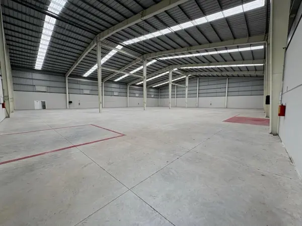 BODEGA CORRAL FALSO