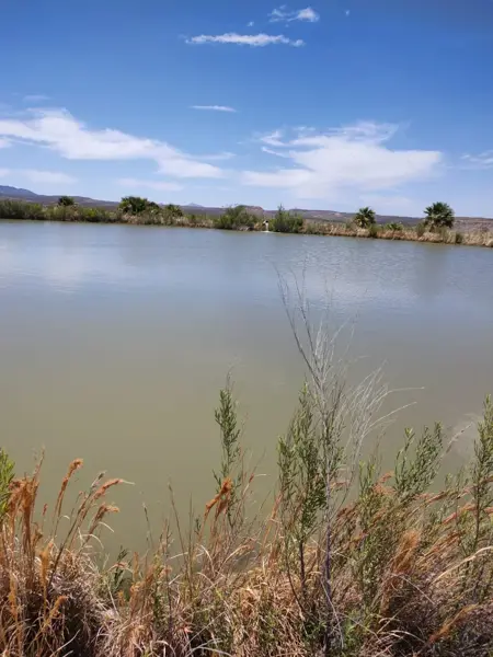 Terreno en venta en San Francisco de Conchos Centro, San Francisco de Conchos, Chihuahua