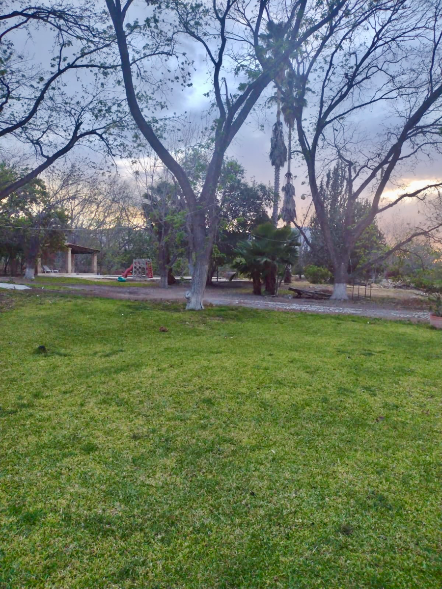 Terreno en venta en Parras de la Fuente Centro, Parras — foto 1 de 5