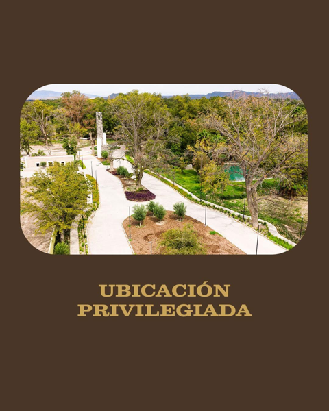 Terreno en venta en Parras de la Fuente Centro, Parras — foto 2 de 17