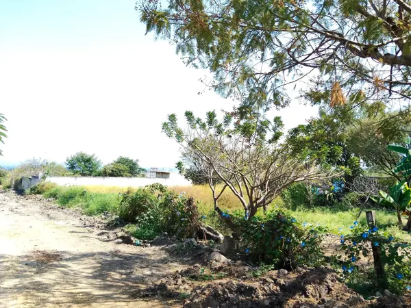 Casa en venta en 13 de Septiembre, Yautepec — foto 2 de 6