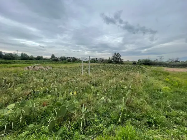 Terreno en venta en San Bernardino Tlaxcalancingo, San Andrés Cholula — foto 2 de 10