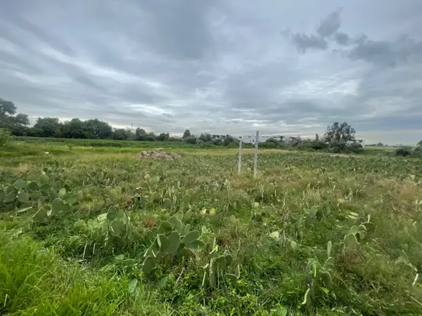 Terreno en venta en San Bernardino Tlaxcalancingo, San Andrés Cholula — foto 3 de 10