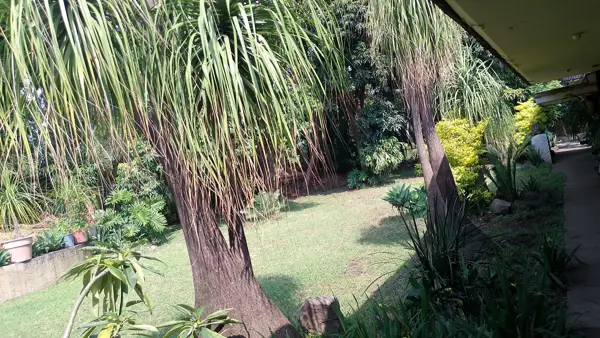 Casa en venta en Cantarranas, Cuernavaca — foto 3 de 8