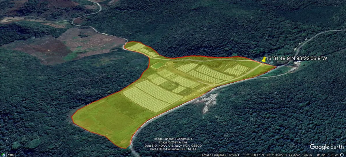 Terreno en venta en Ocozocoautla de Espinosa Centro, Ocozocoautla de Espinosa — foto 1 de 5