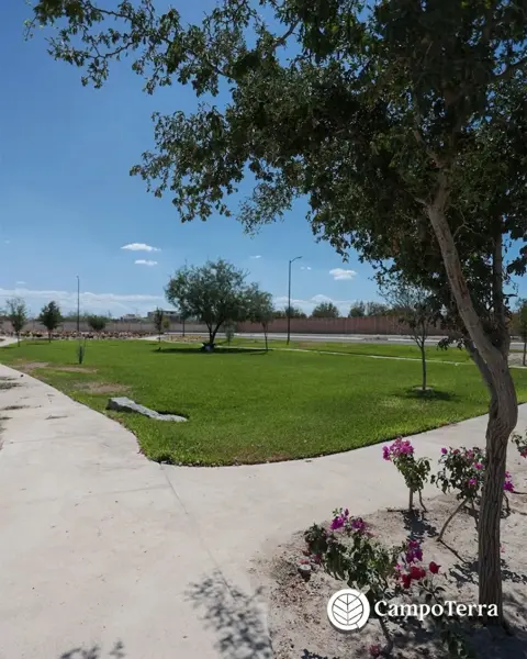 Terreno en venta en Ejido Ana, Torreón — foto 2 de 8