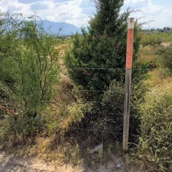 Terreno en venta en El Derramadero, Saltillo — foto 3 de 5