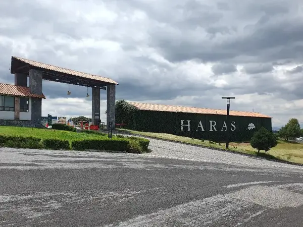Terreno en venta en Campestre Haras, Amozoc — foto 3 de 11