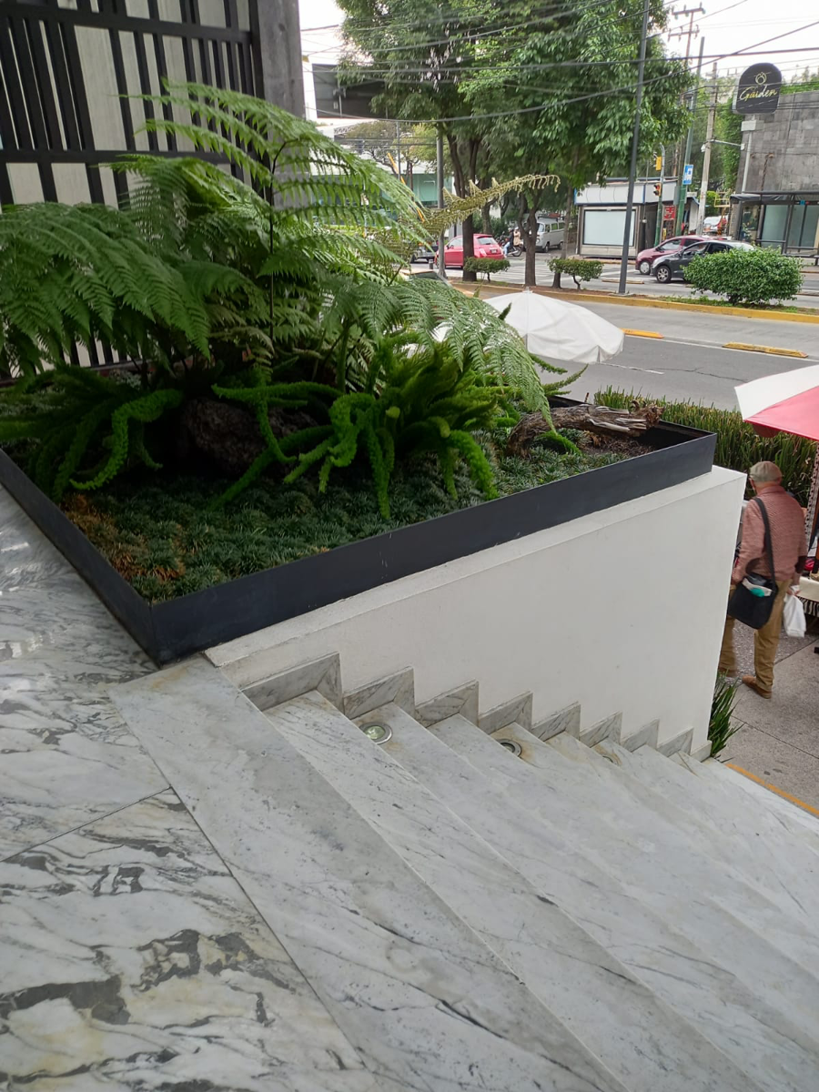 Departamento en renta en Loreto, Álvaro Obregón — foto 1 de 9