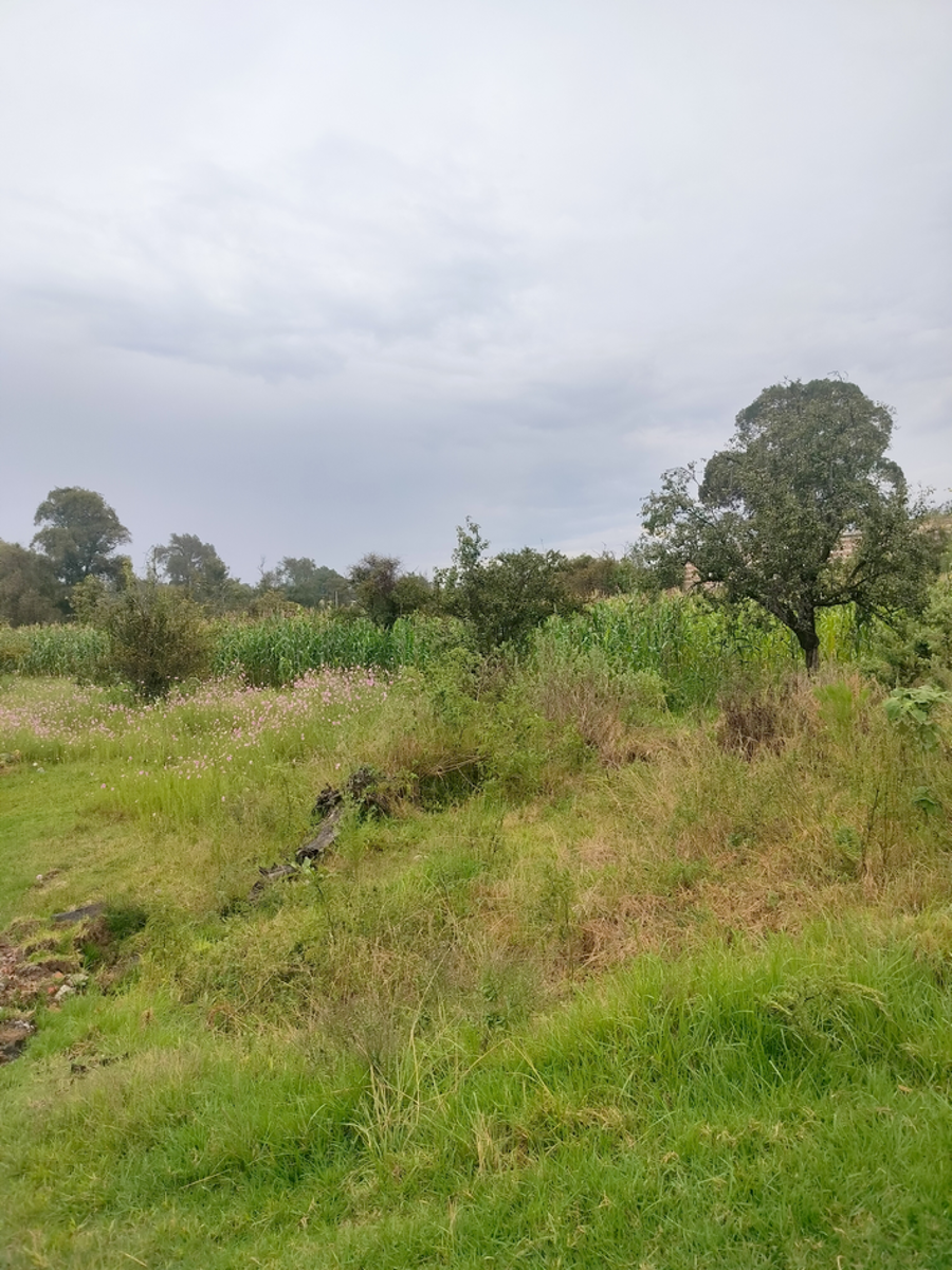 Terreno en venta en Cuanalá, Juan C. Bonilla — foto 1 de 28